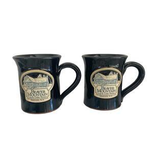 Deneen Pottery Handthrown Black Mugs Beaver Mountain Hancock NY Set of 2